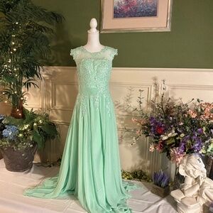 Formal long mint green chiffon with appliqué top